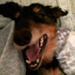 Meet your Posher, April